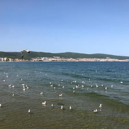 Sirena スヴェティ・ヴラス